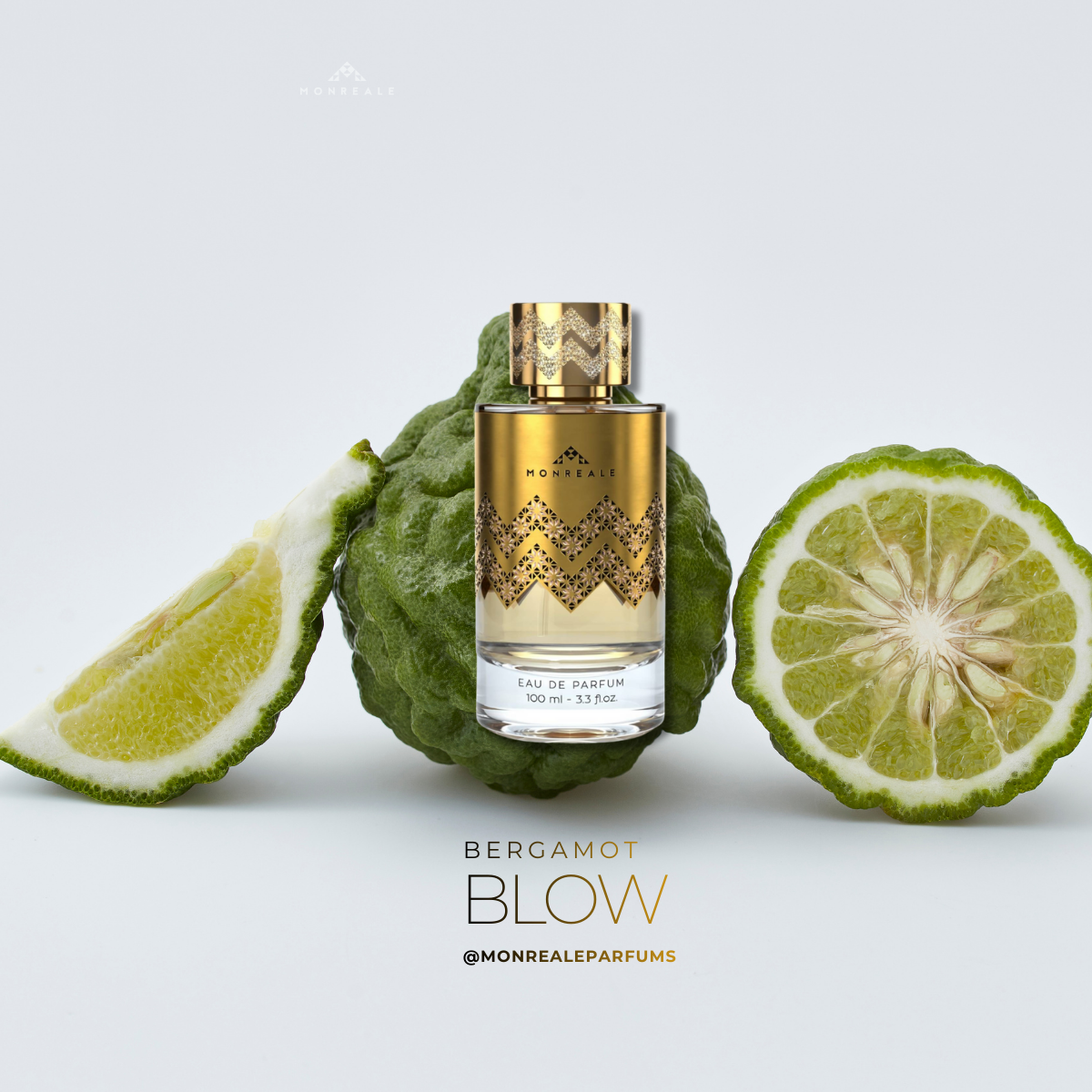 WORDPRESS (1200 x 1200 px) (22)