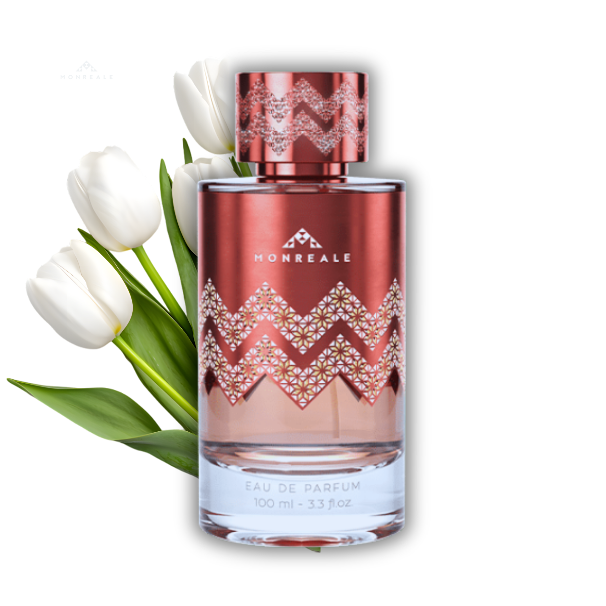 WORDPRESS (1200 x 1200 px) (3)